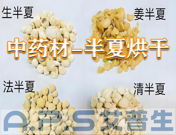 艾普生環(huán)境科技：半夏的烘干方法有哪些？哪一種烘干效果更好？